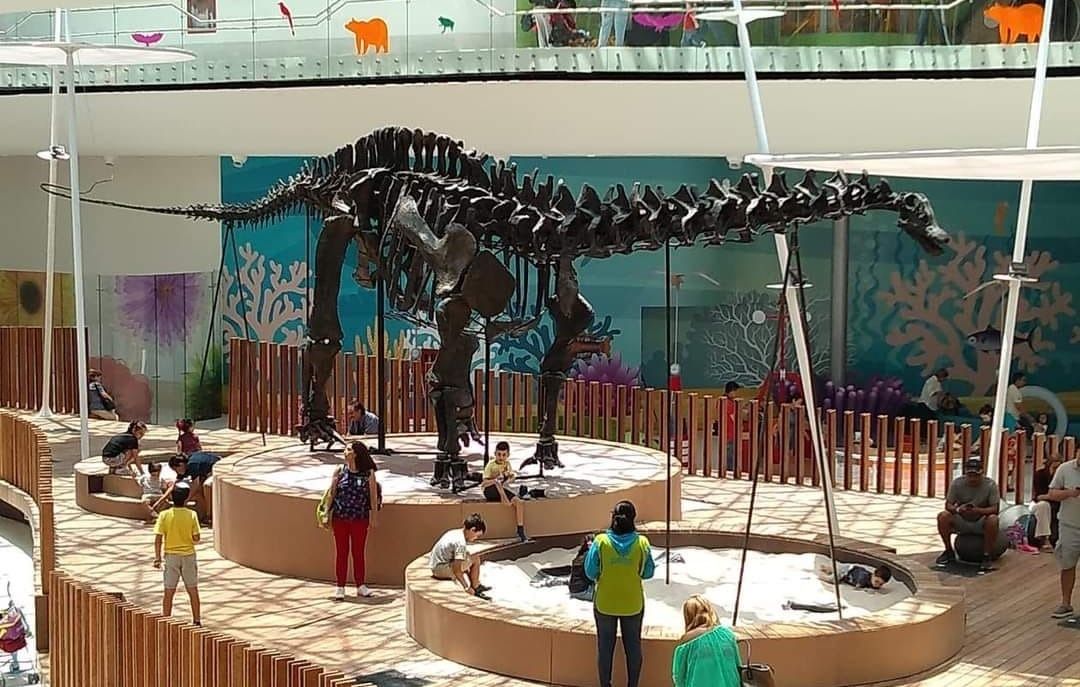 WhatsApp Image 2025-08-26 at 7.13.21 PM.jpeg