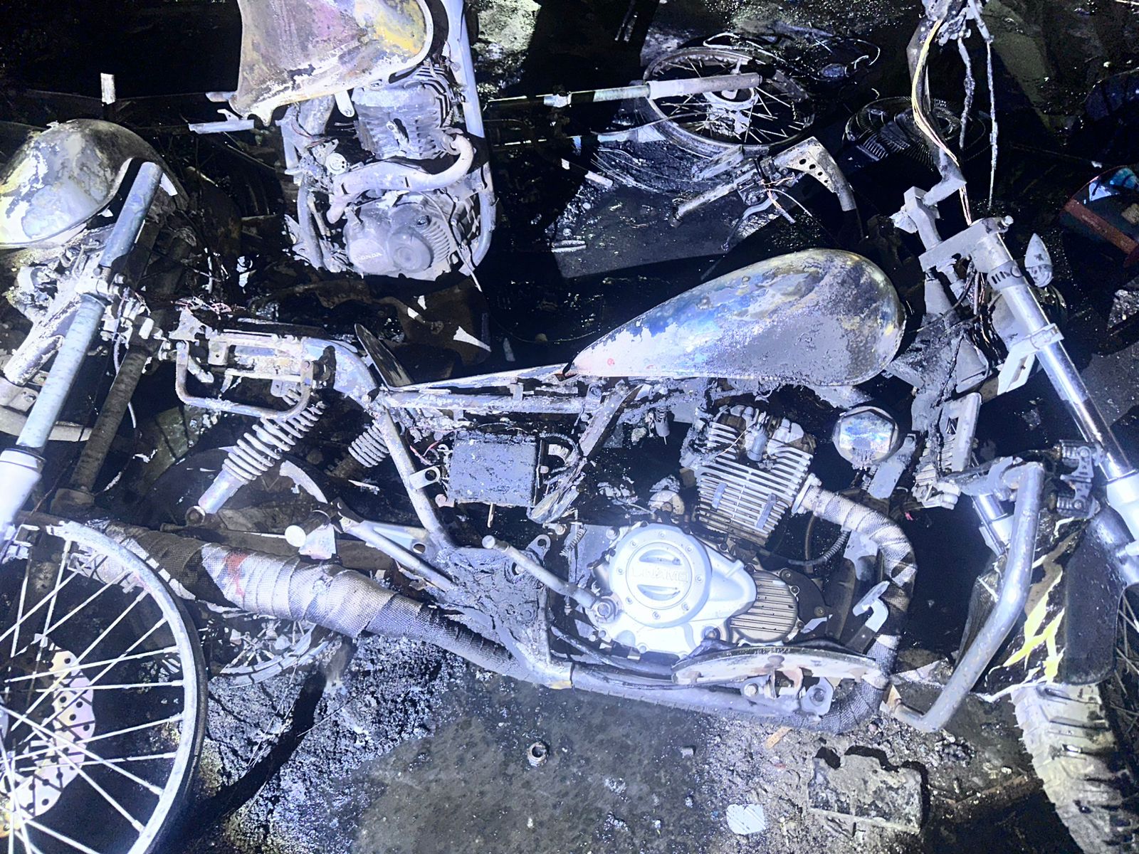 WhatsApp Image 2025-08-28 at 3.28.23 PM.jpeg