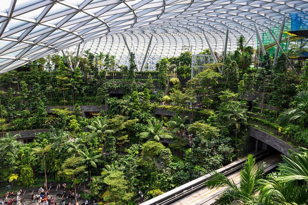 WhatsApp Image 2025-08-28 at 5.35.19 PM.jpeg