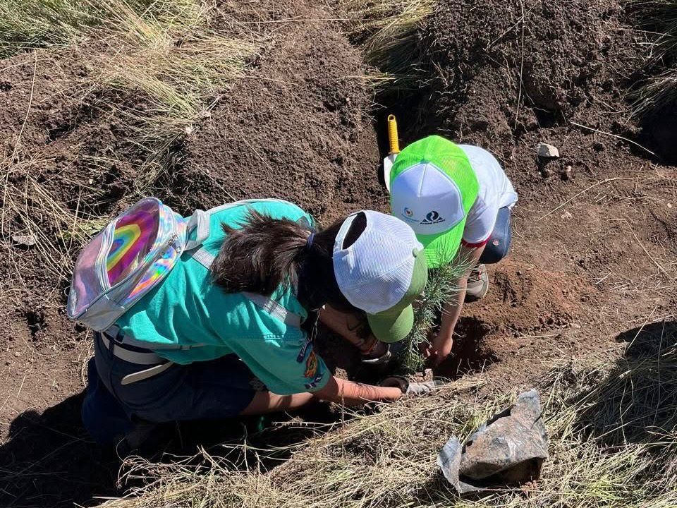 WhatsApp Image 2025-09-02 at 3.19.55 PM (2).jpeg