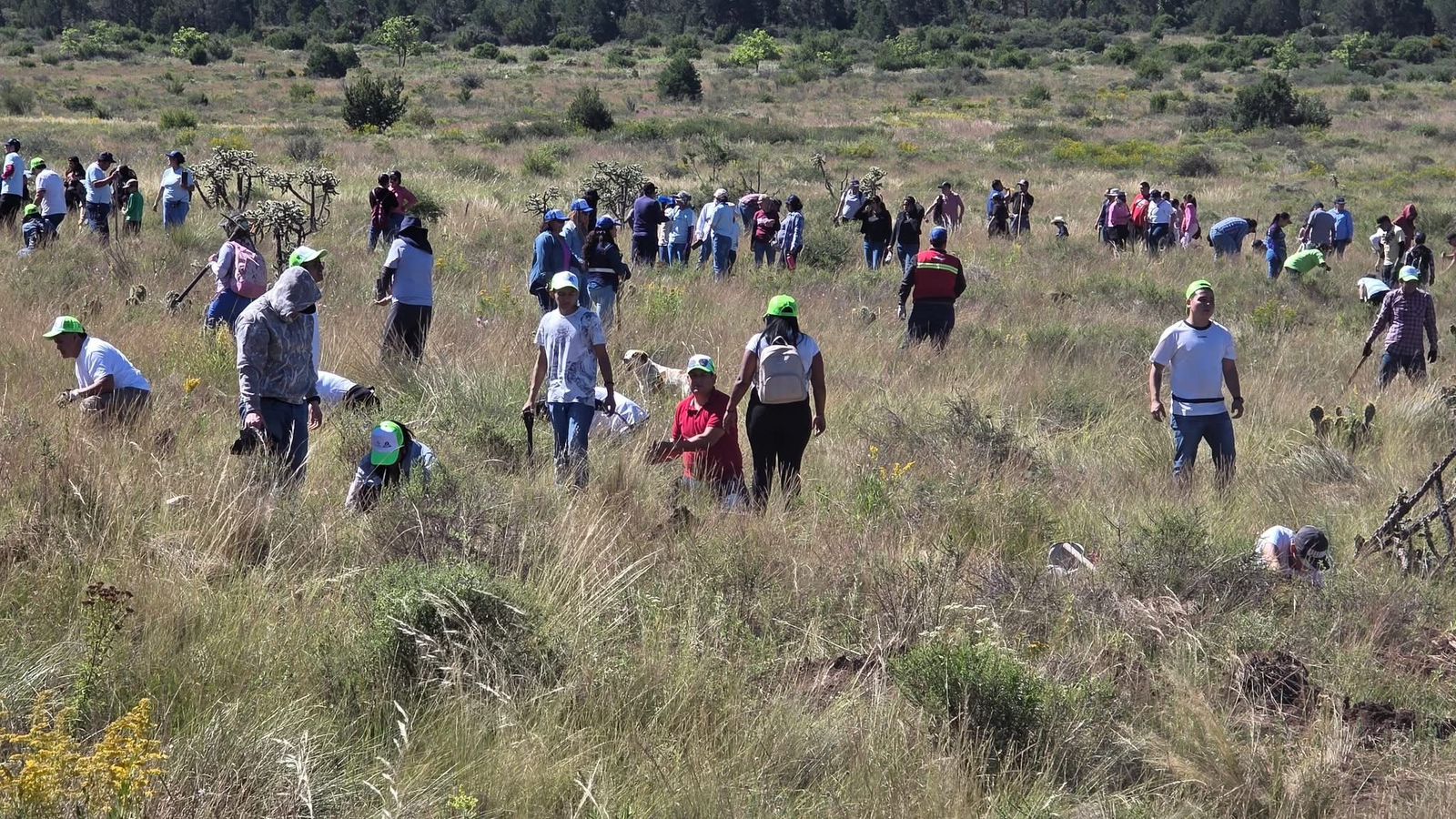 WhatsApp Image 2025-09-02 at 3.19.55 PM (3).jpeg