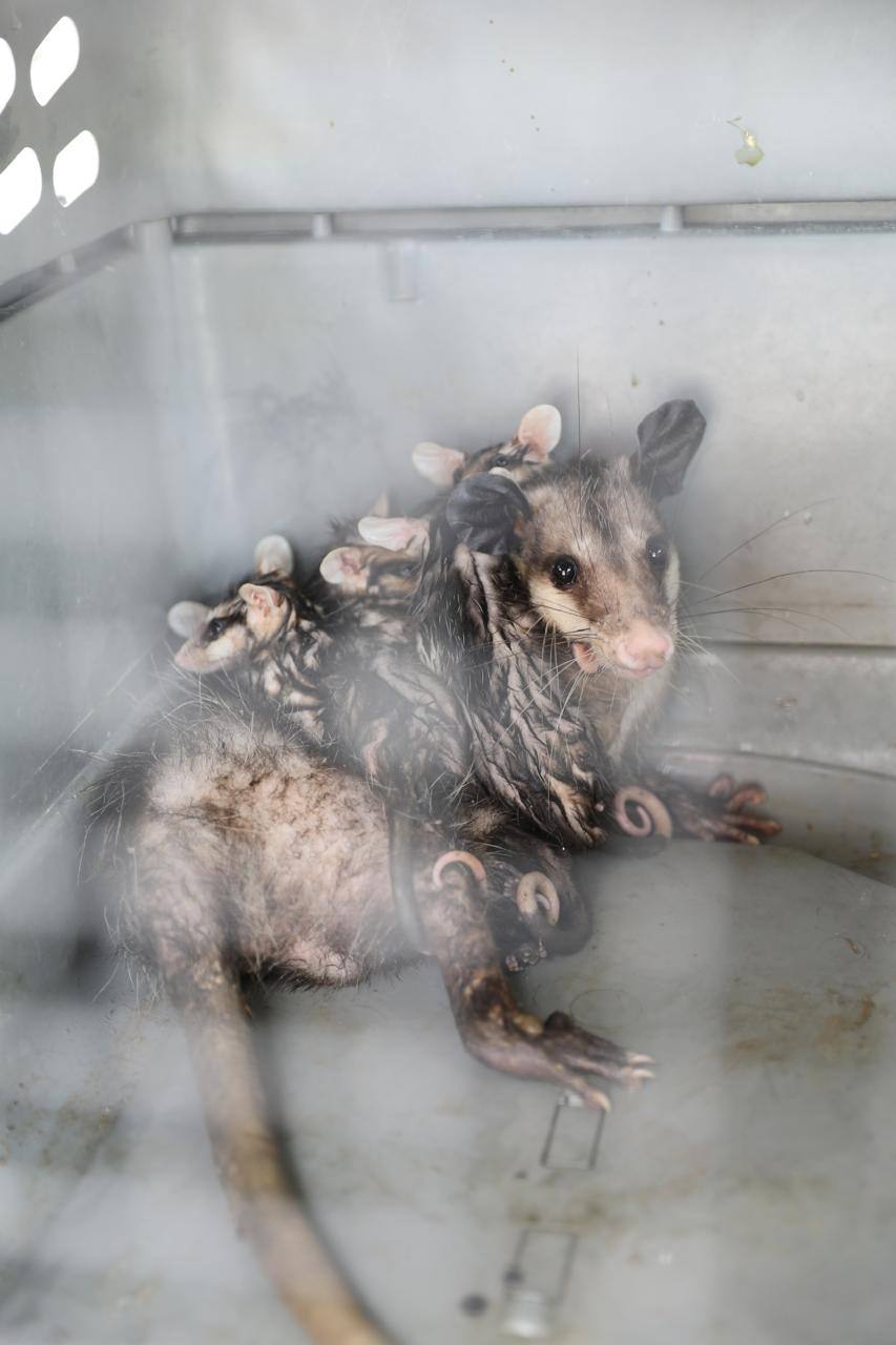 WhatsApp Image 2025-09-02 at 8.45.42 PM (1).jpeg