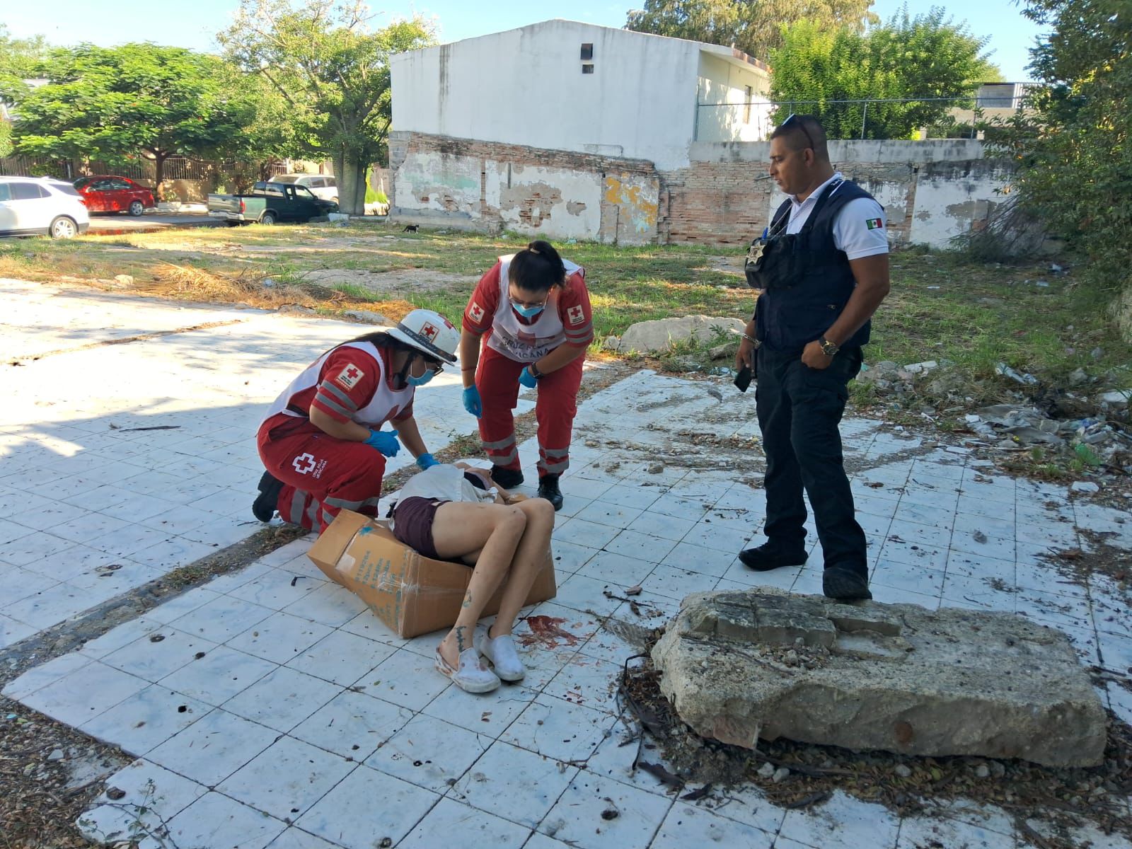 WhatsApp Image 2025-09-03 at 2.39.11 PM.jpeg