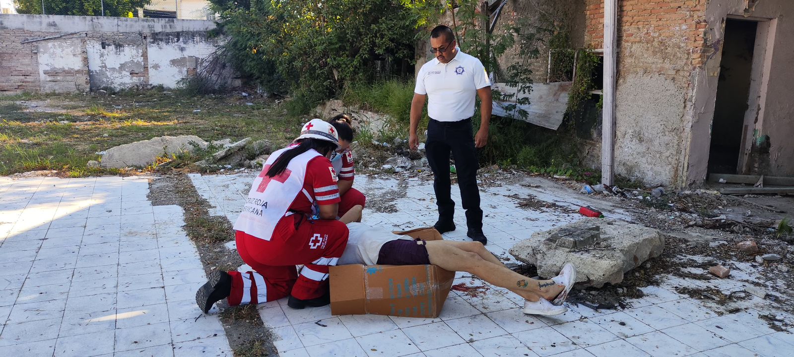 WhatsApp Image 2025-09-03 at 2.39.12 PM (1).jpeg