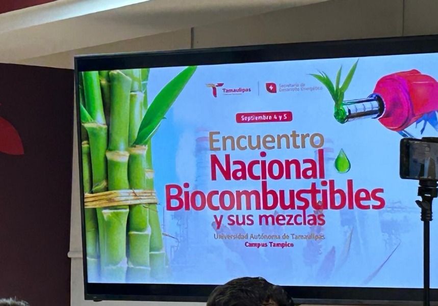 WhatsApp Image 2025-09-03 at 2.54.44 PM (2).jpeg