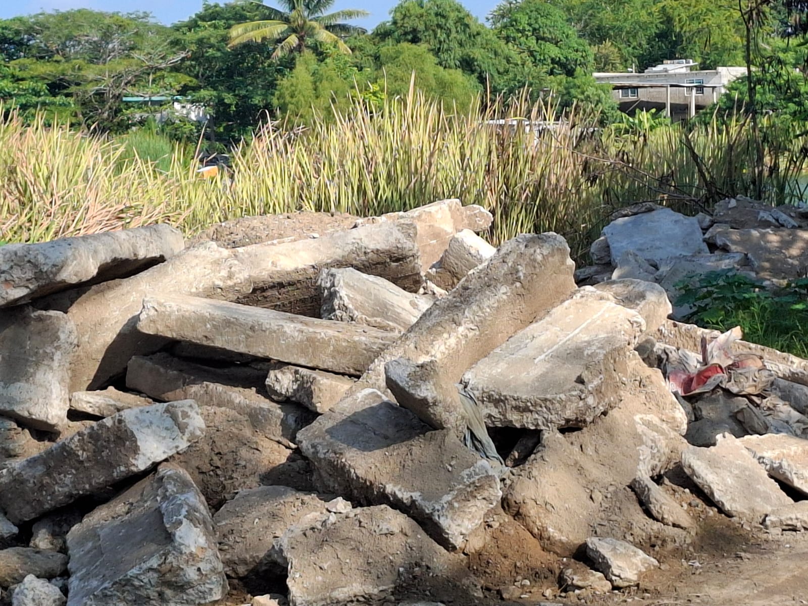 WhatsApp Image 2025-09-05 at 2.41.29 PM (1).jpeg