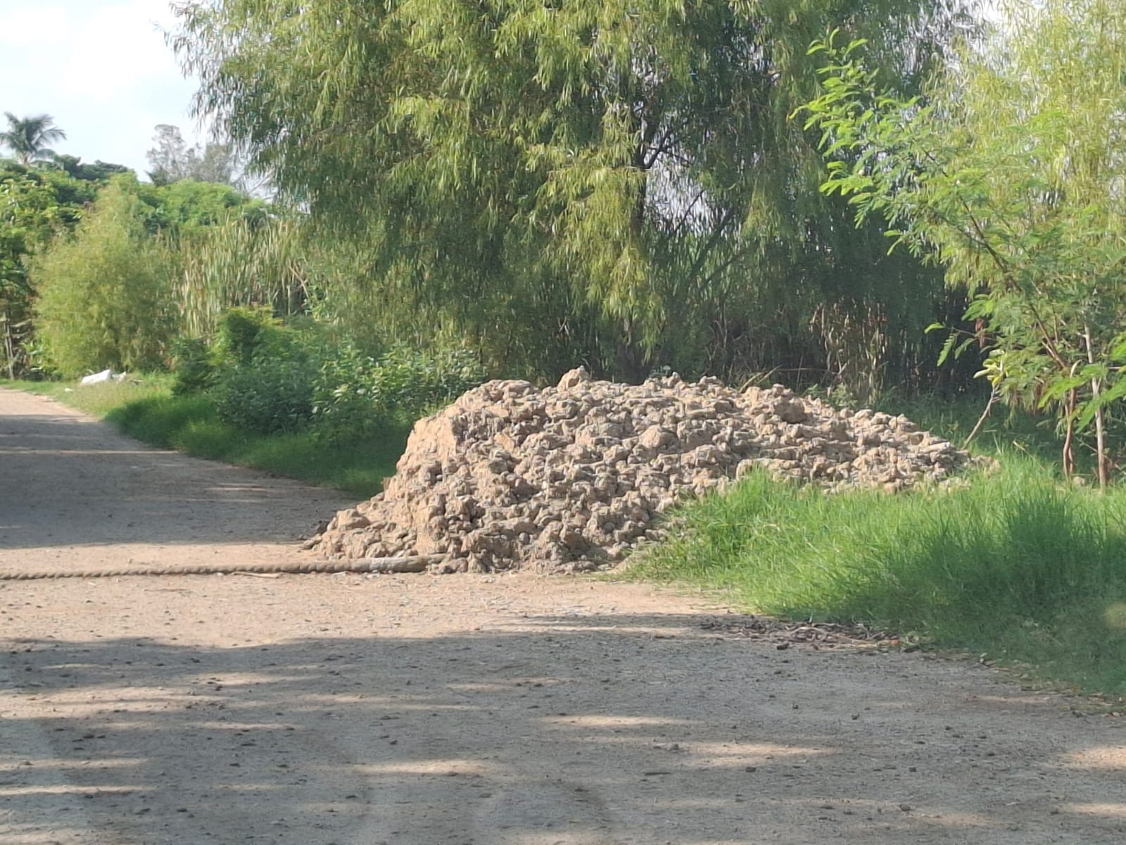 WhatsApp Image 2025-09-05 at 2.42.34 PM (1).jpeg