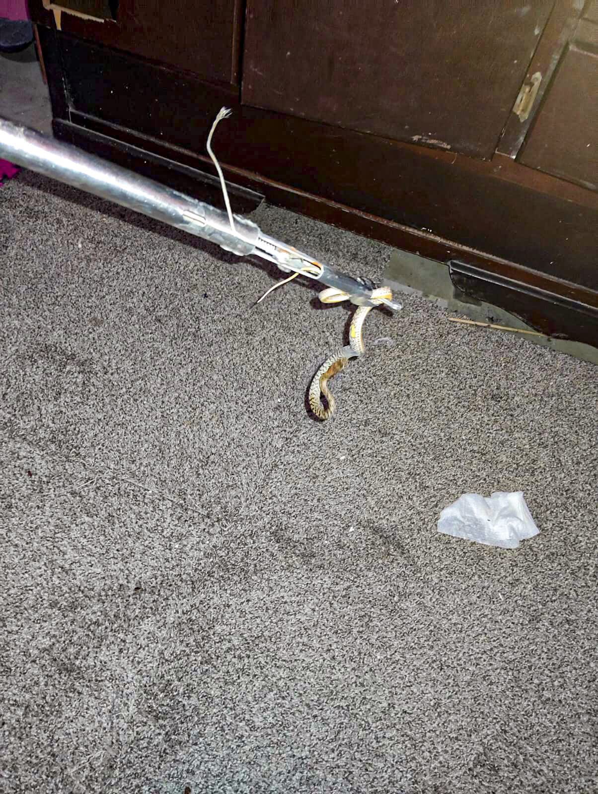 WhatsApp Image 2025-09-05 at 3.53.47 PM.jpeg