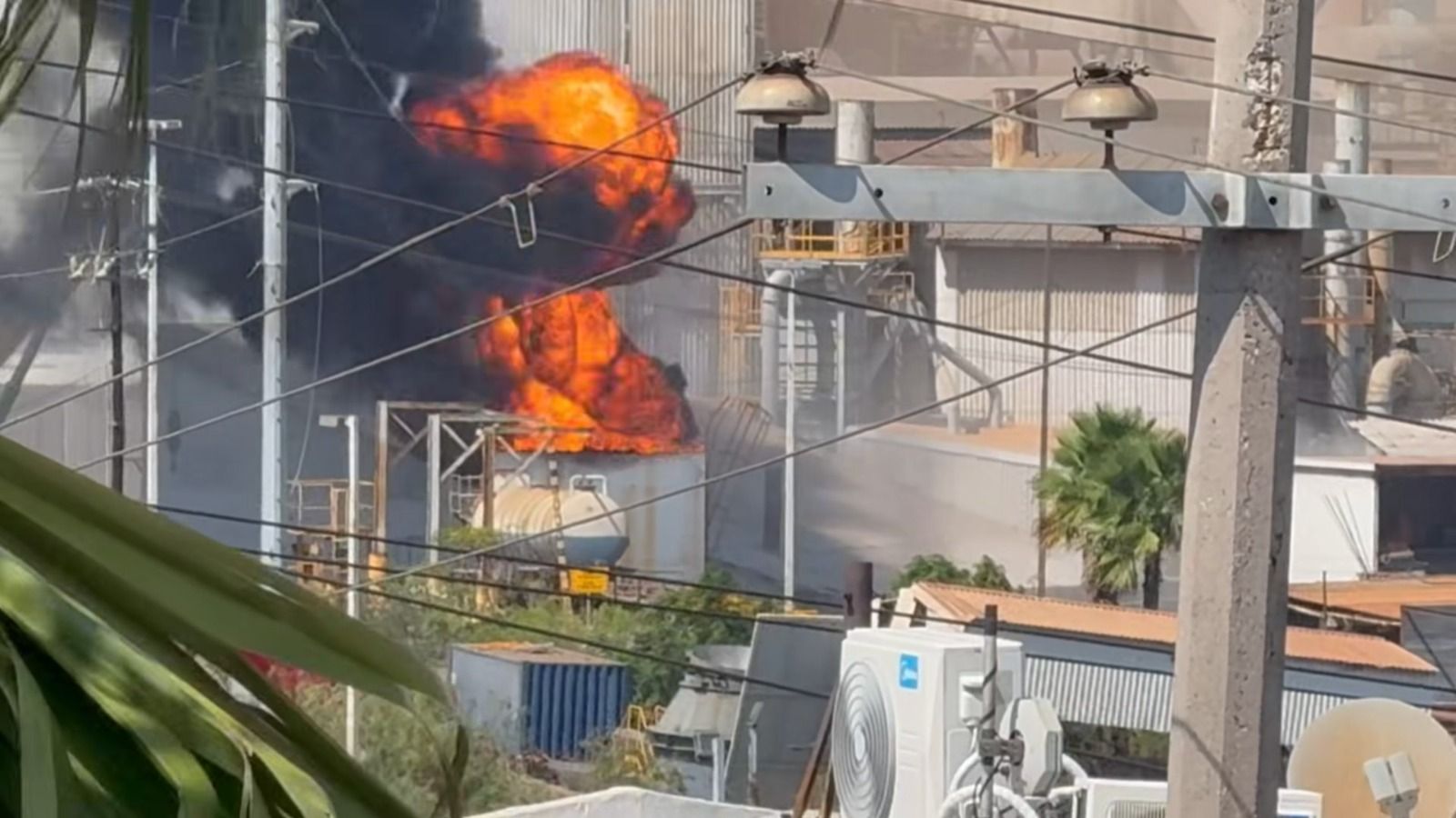 WhatsApp Image 2025-09-07 at 2.57.05 PM.jpeg