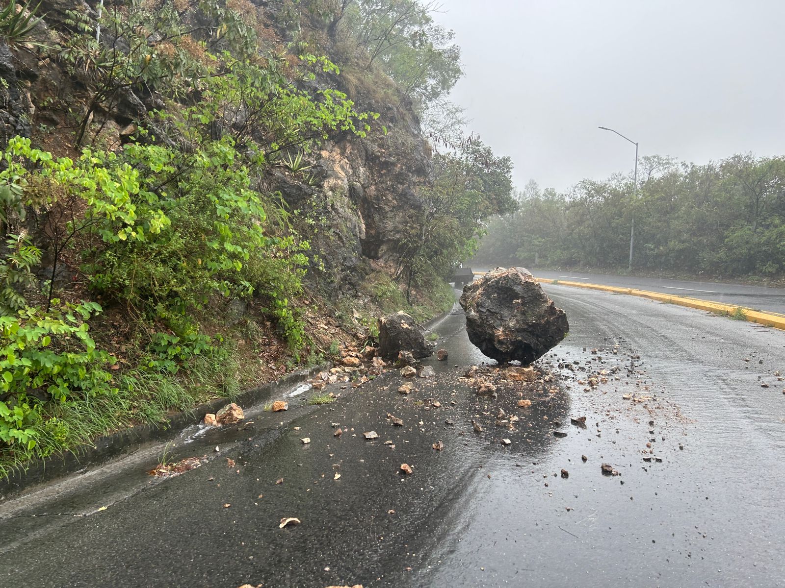 WhatsApp Image 2025-09-08 at 2.14.11 PM.jpeg