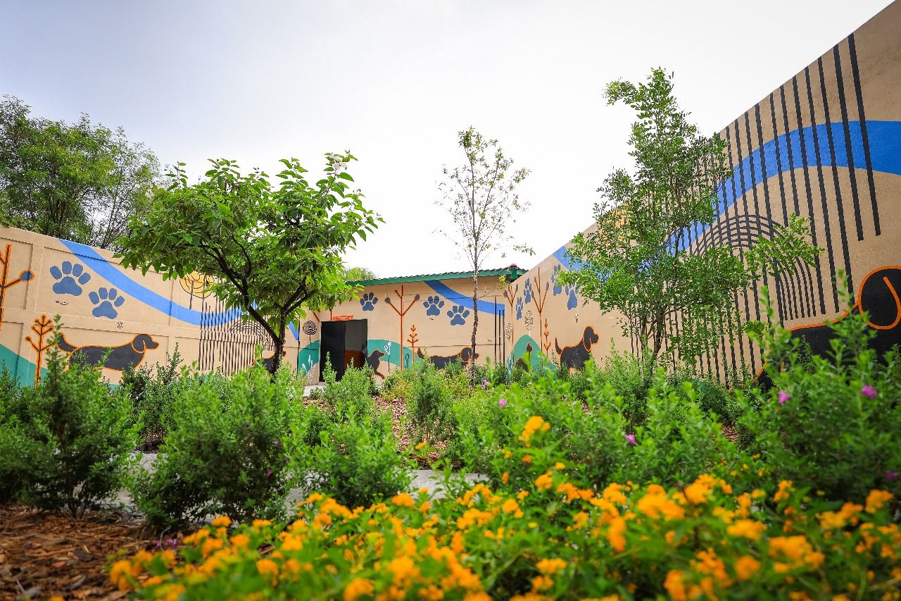 WhatsApp Image 2025-09-08 at 2.24.46 PM (1).jpeg