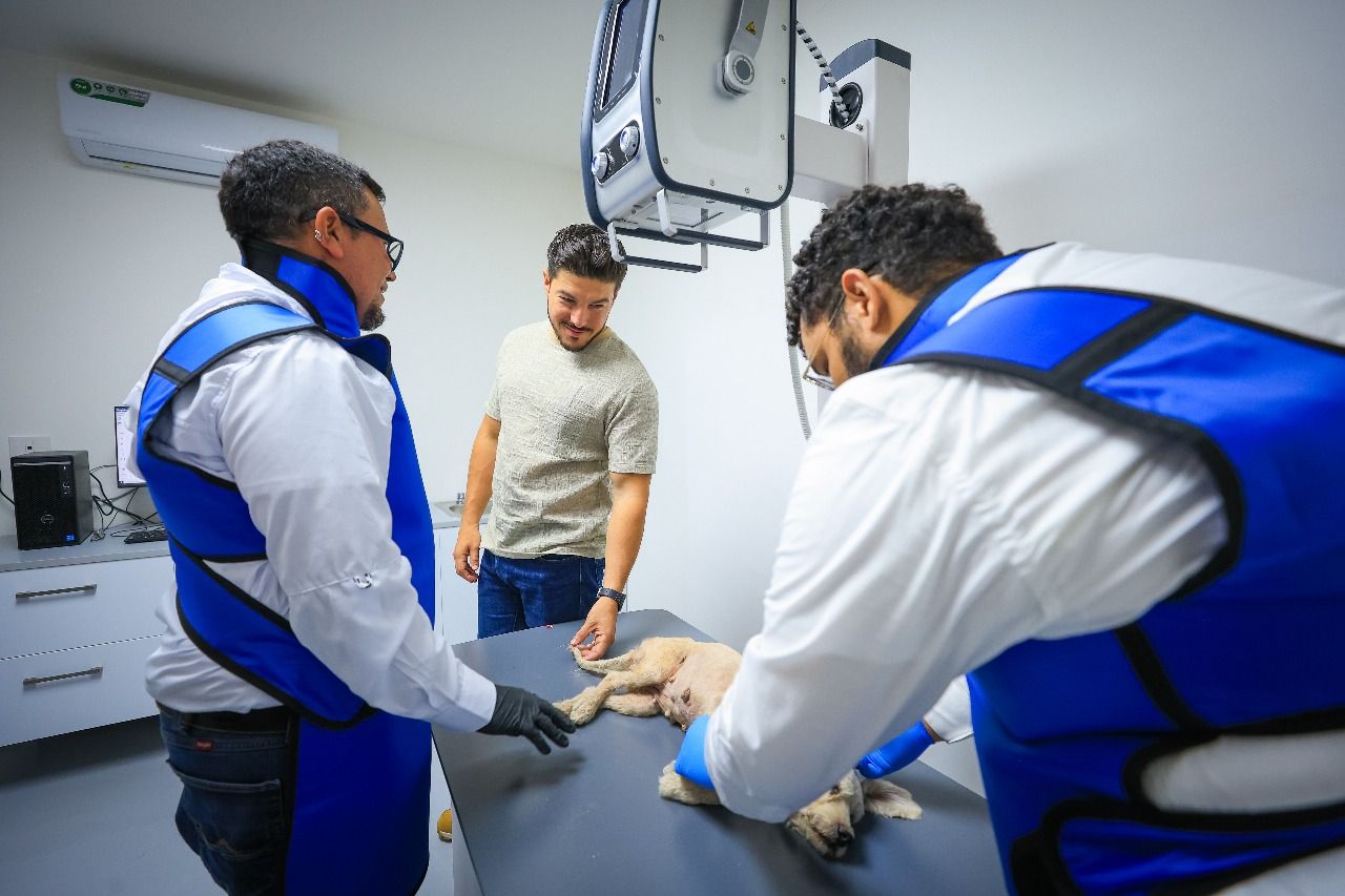 WhatsApp Image 2025-09-08 at 2.25.44 PM (1).jpeg