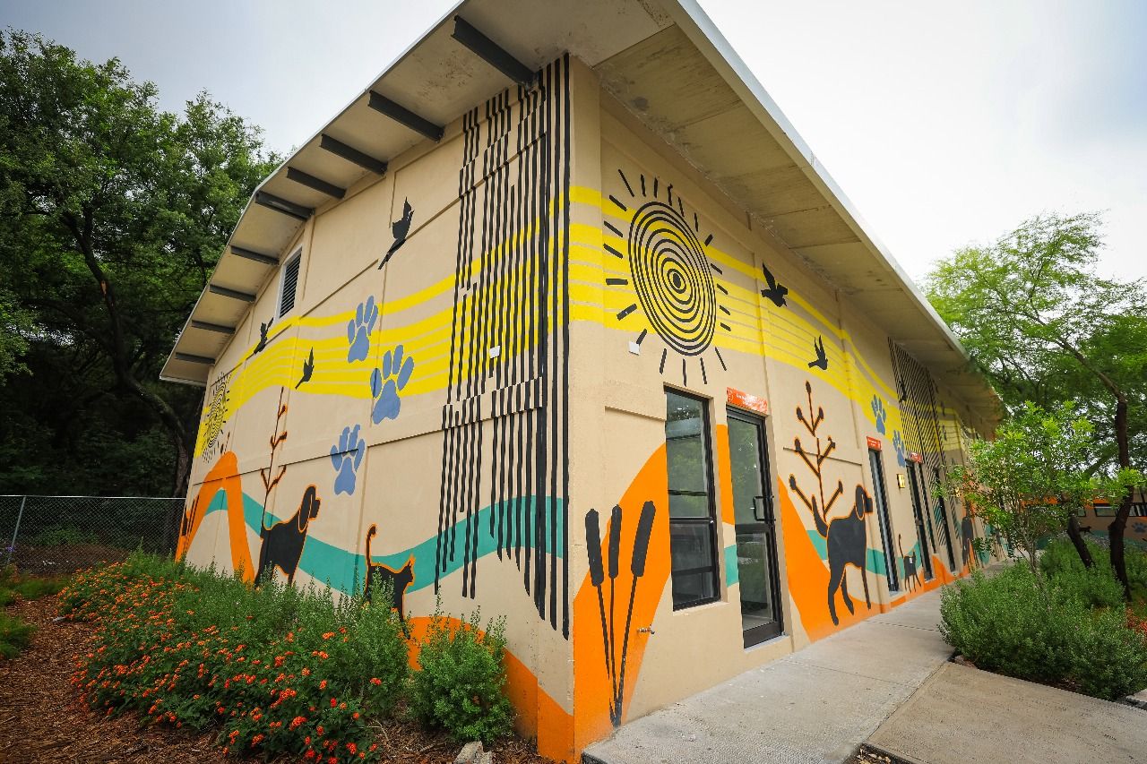 WhatsApp Image 2025-09-08 at 2.25.45 PM (2).jpeg