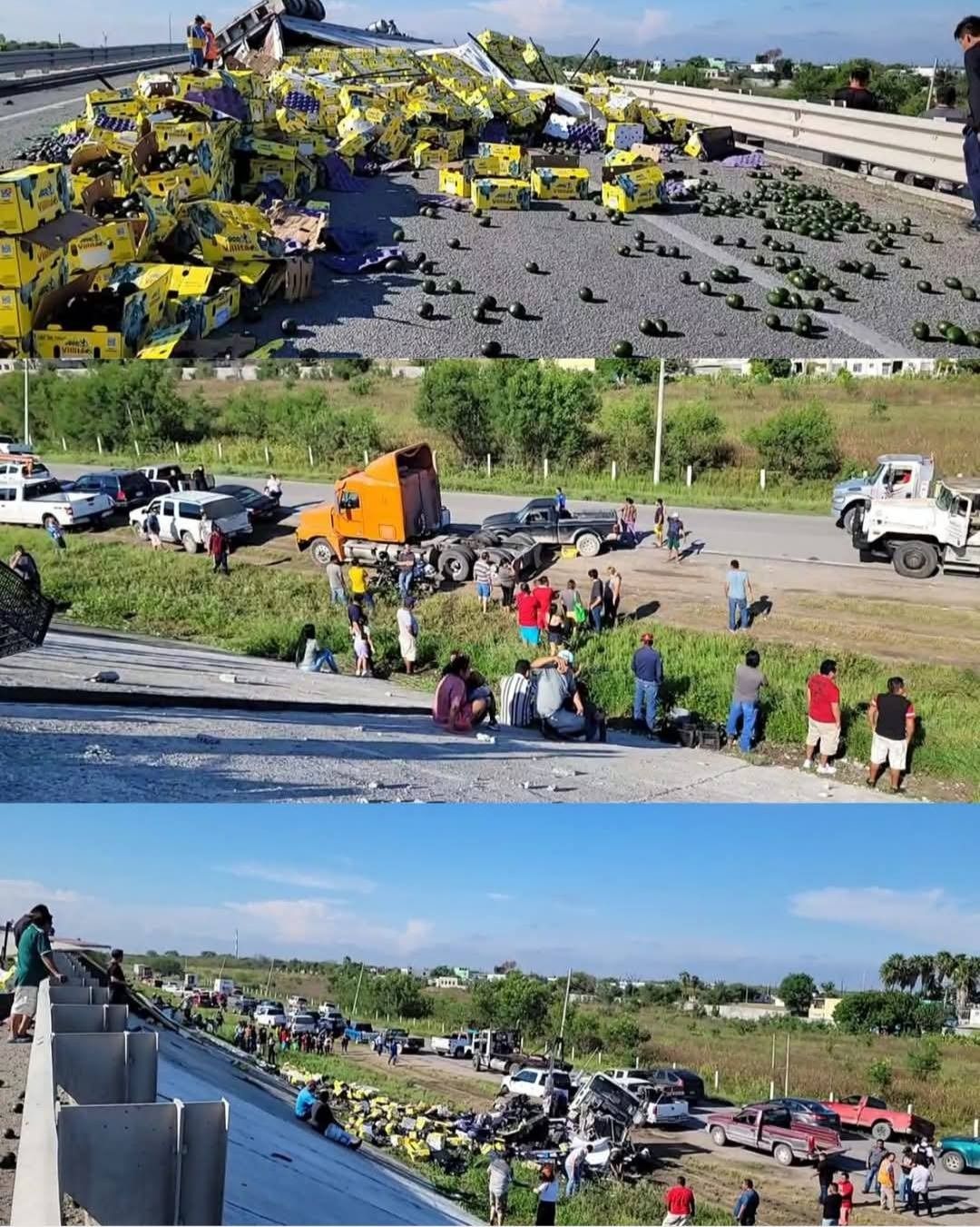 WhatsApp Image 2025-09-08 at 2.59.44 PM.jpeg