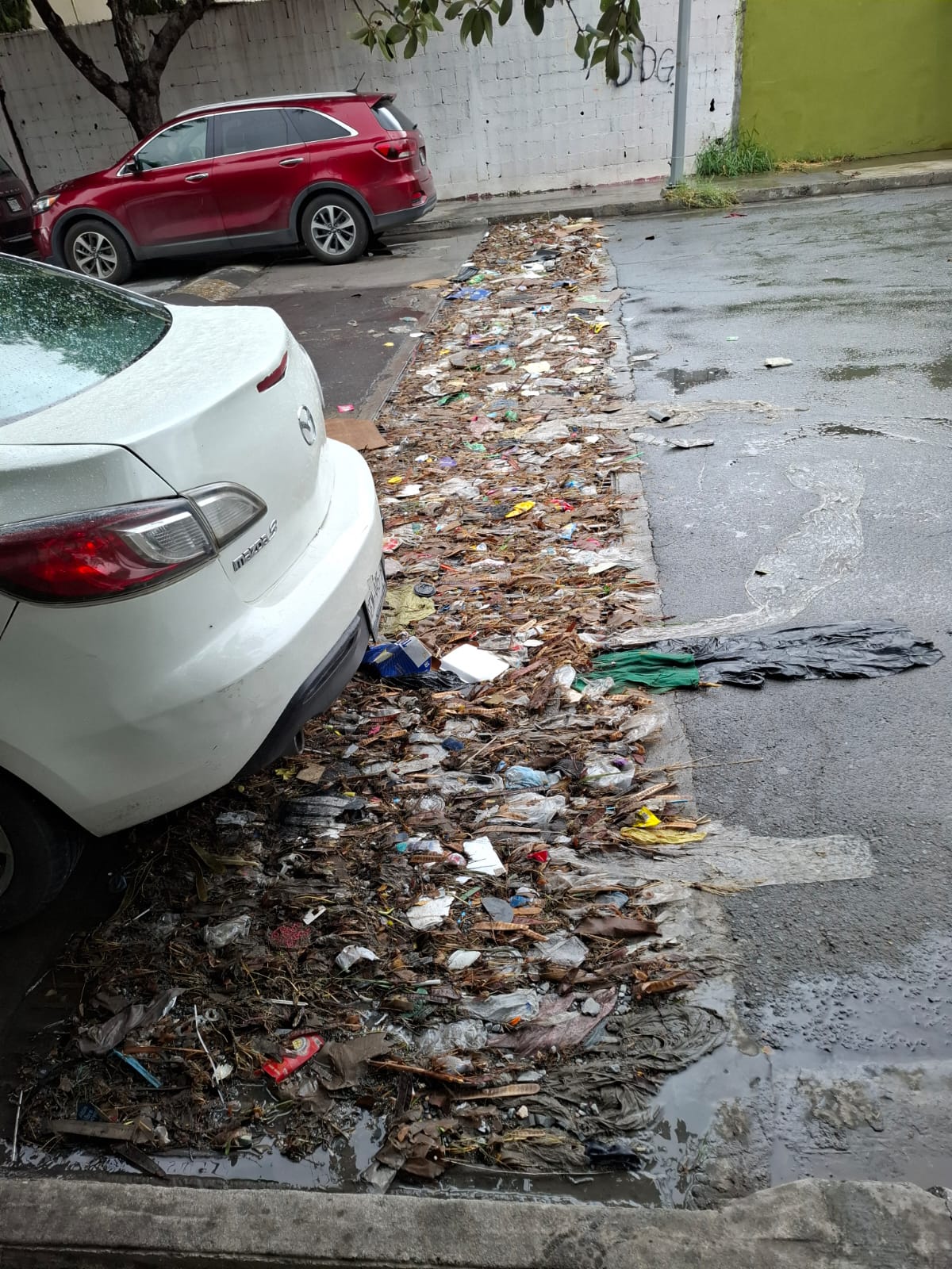 WhatsApp Image 2025-09-08 at 6.20.52 PM (2).jpeg