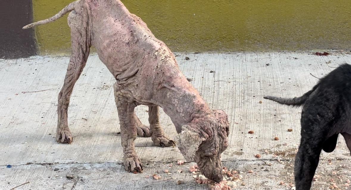 WhatsApp Image 2025-09-10 at 7.44.28 PM.jpeg