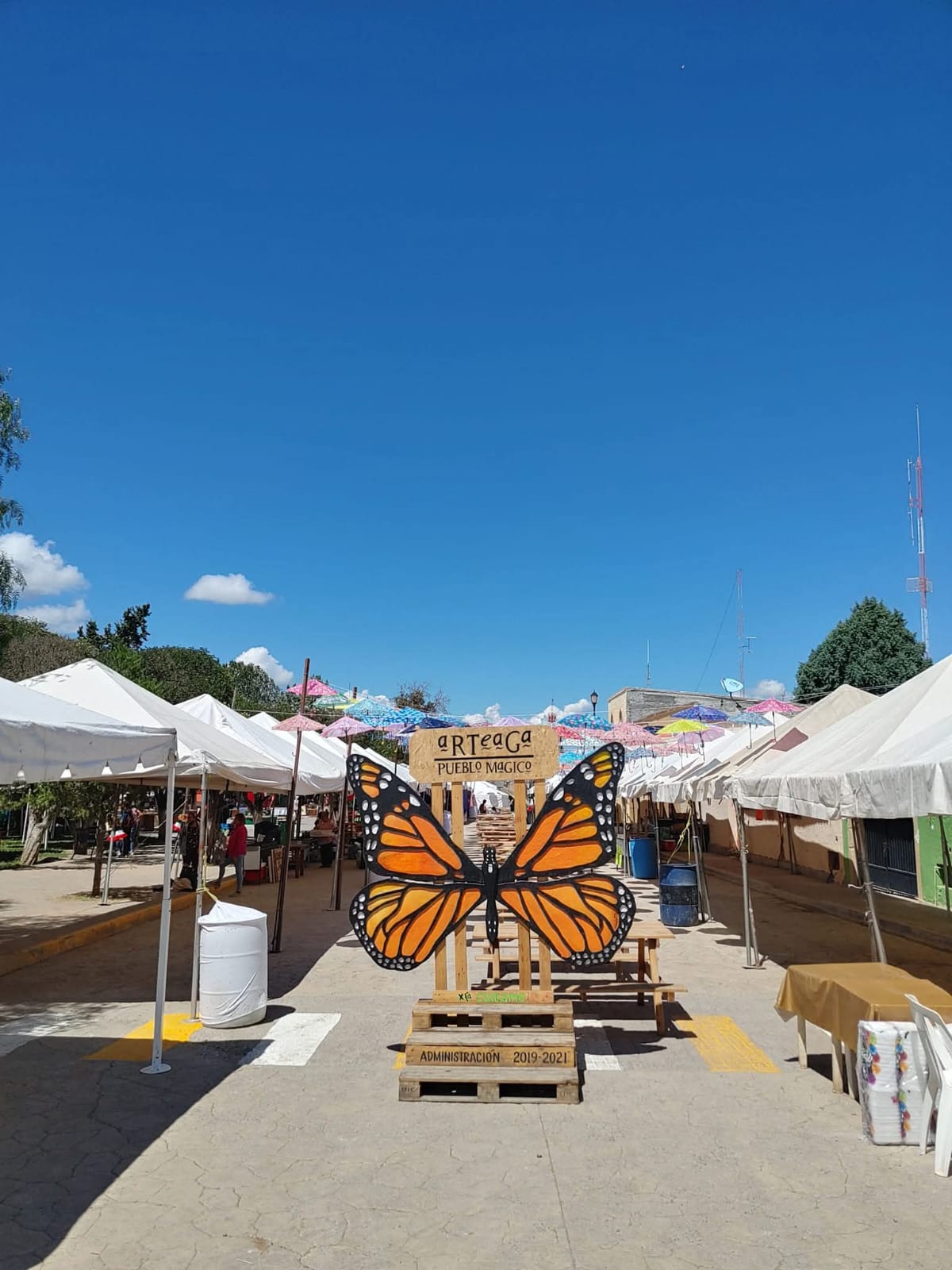 WhatsApp Image 2025-09-11 at 5.49.17 PM.jpeg