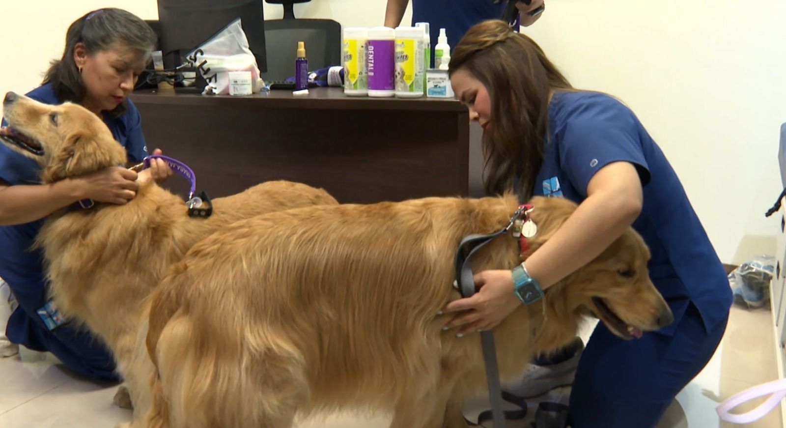 WhatsApp Image 2025-09-12 at 6.37.13 PM (3).jpeg