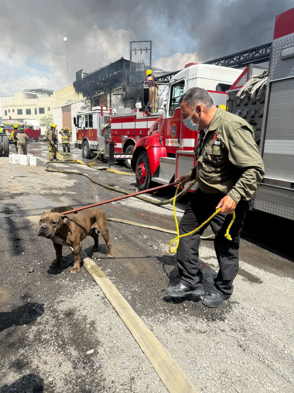 WhatsApp Image 2025-09-12 at 7.12.18 AM.jpeg