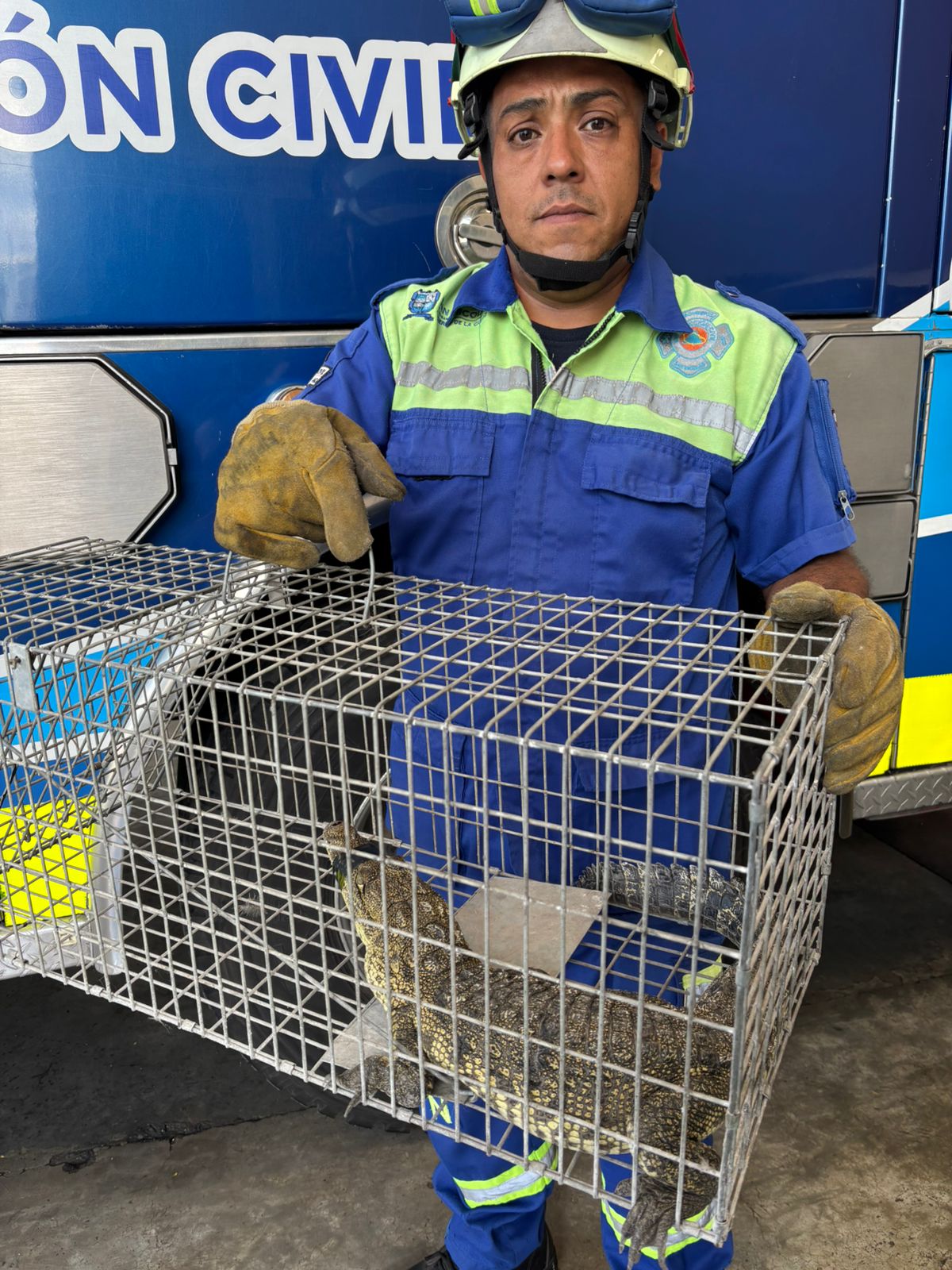 WhatsApp Image 2025-09-13 at 12.15.30 PM.jpeg