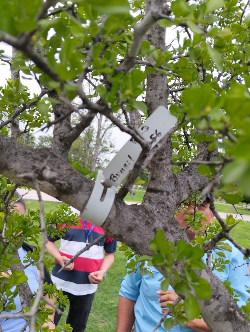 WhatsApp Image 2025-09-14 at 3.37.12 PM (1).jpeg