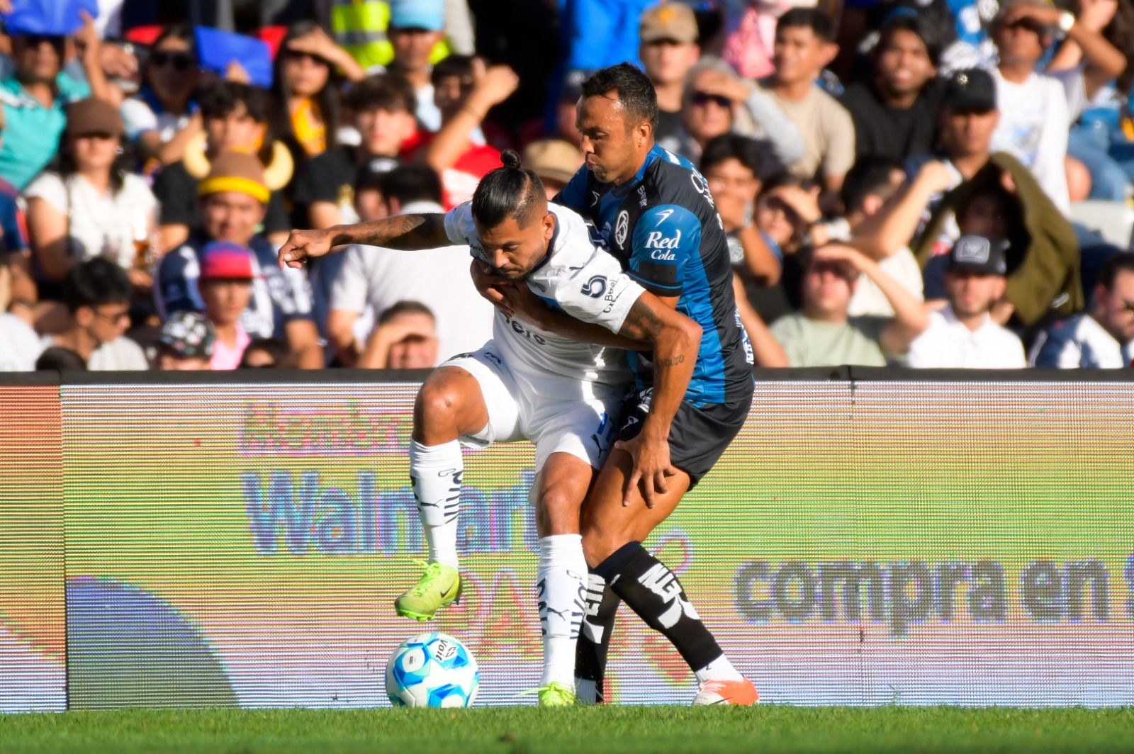 WhatsApp Image 2025-09-14 at 7.04.27 PM.jpeg