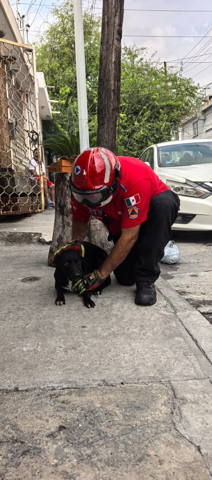 WhatsApp Image 2025-09-18 at 10.59.18 AM.jpeg