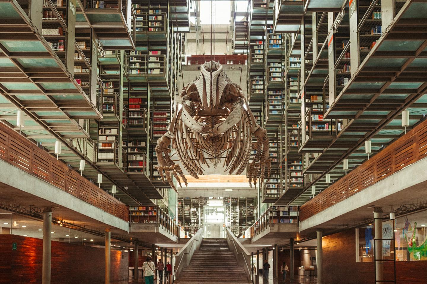 WhatsApp Image 2025-09-18 at 2.10.13 PM.jpeg