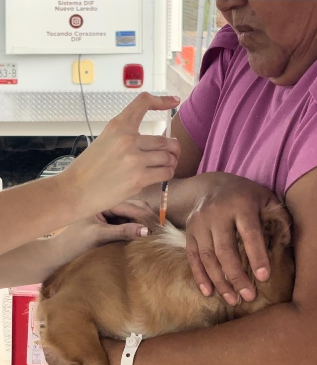 WhatsApp Image 2025-09-18 at 6.30.34 PM (1).jpeg