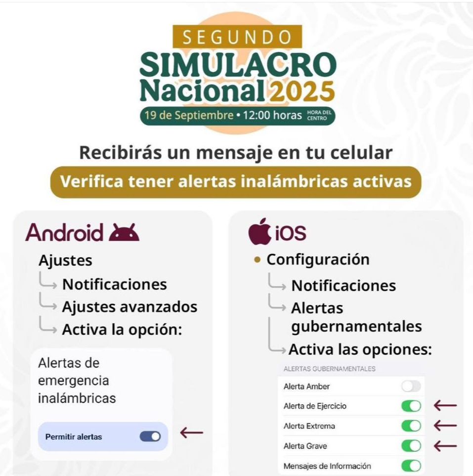 WhatsApp Image 2025-09-19 at 07.52.38.jpeg