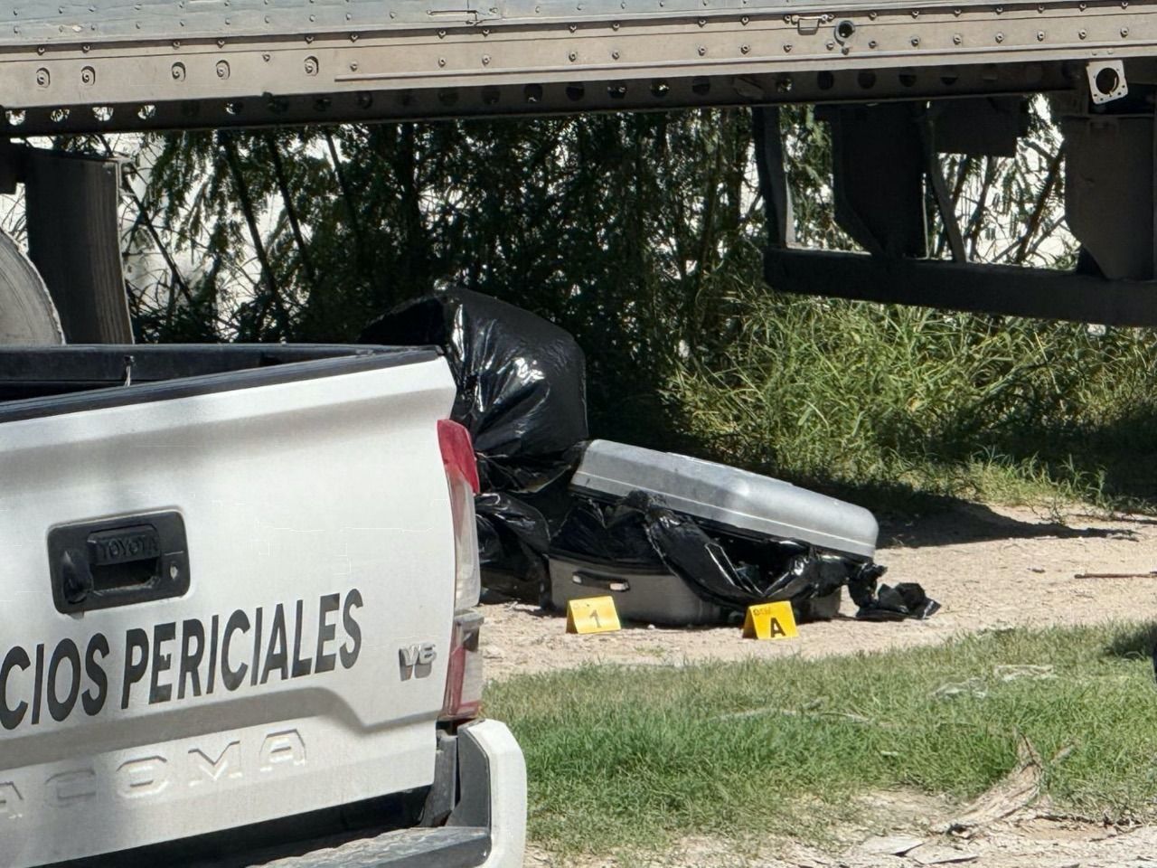 WhatsApp Image 2025-09-22 at 2.20.23 PM.jpeg