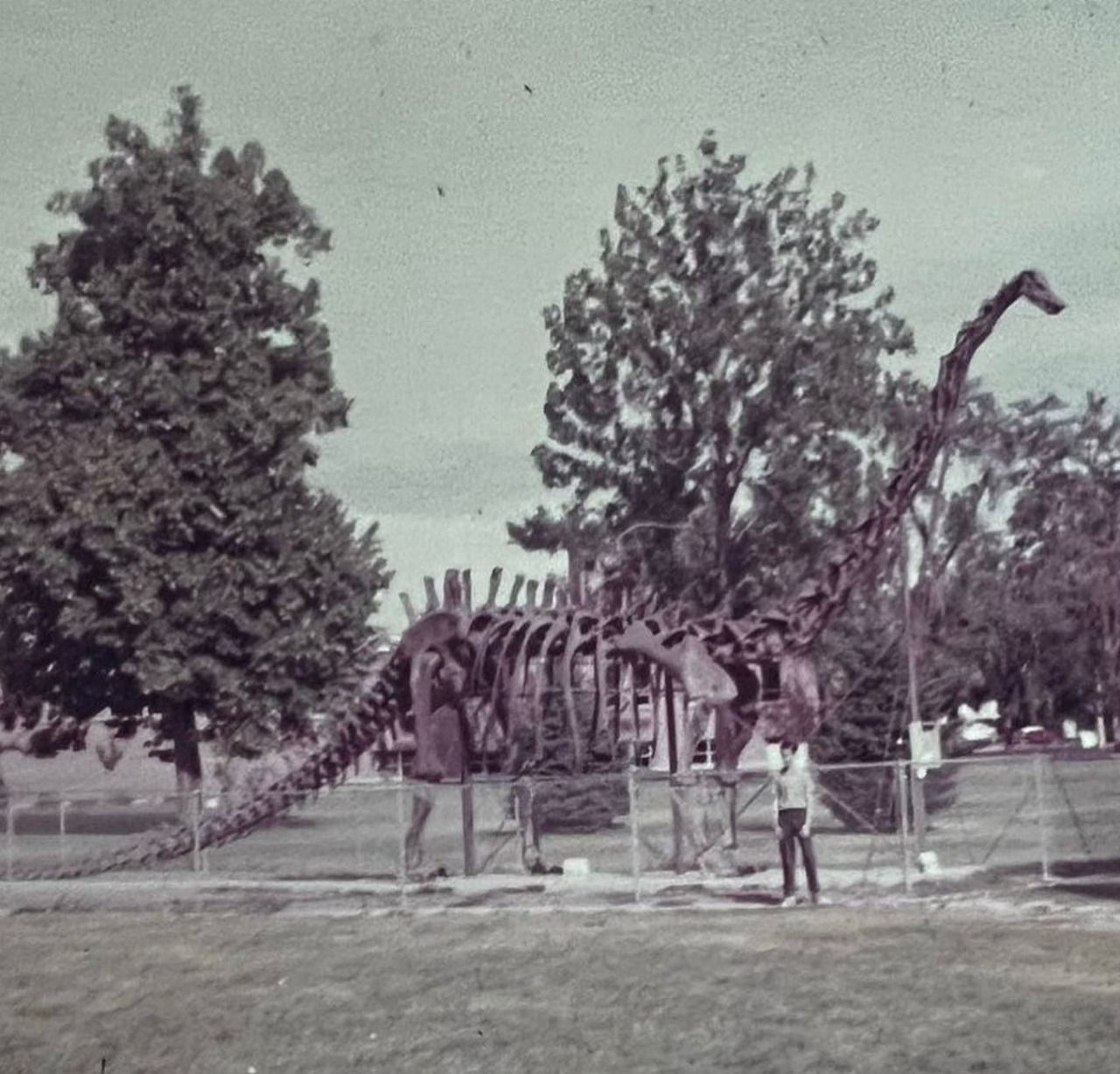 WhatsApp Image 2025-09-23 at 11.46.43 AM.jpeg