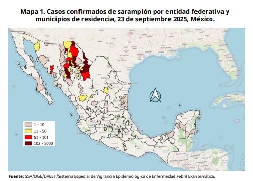 WhatsApp Image 2025-09-24 at 5.29.18 PM.jpeg