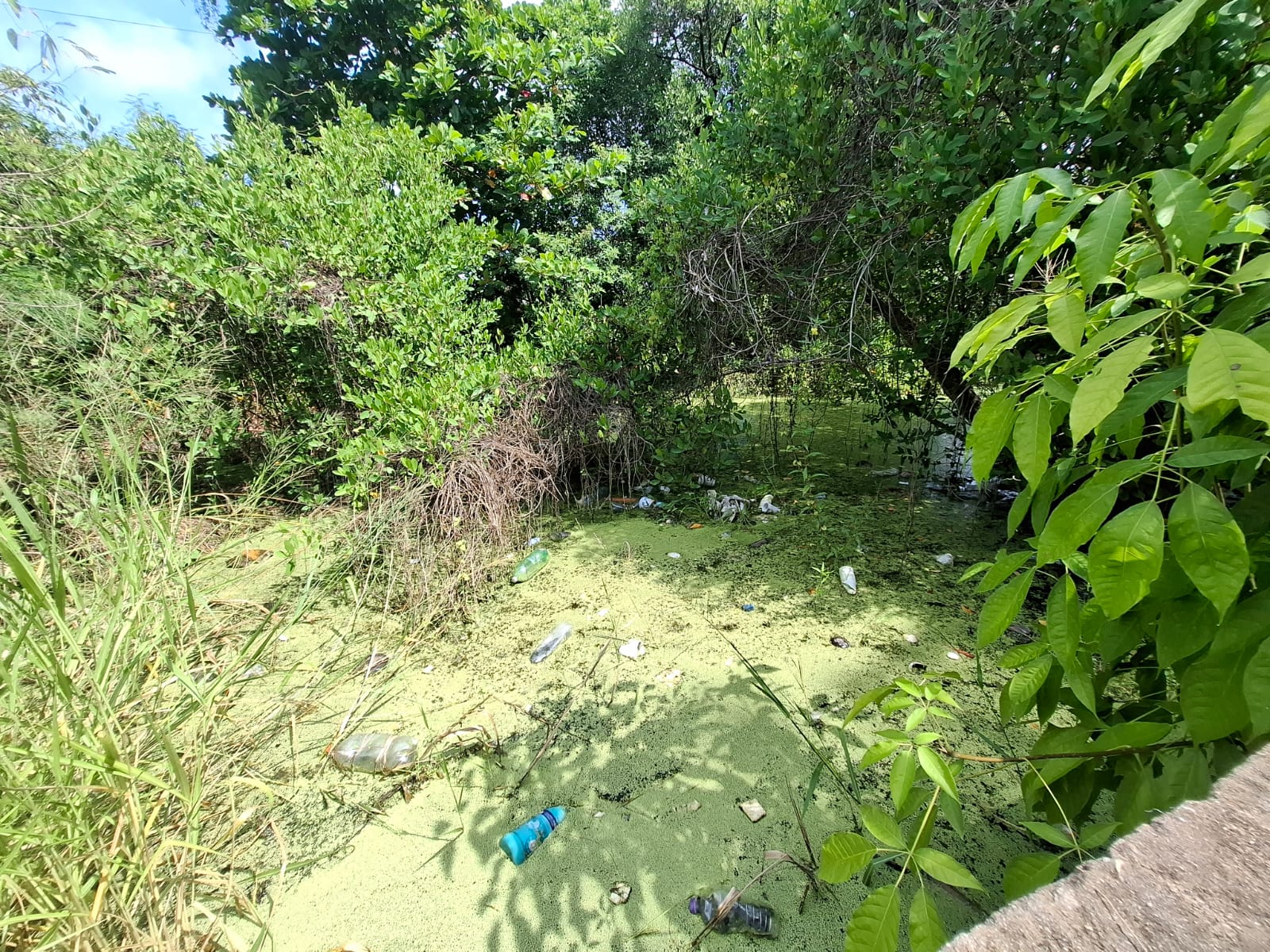 WhatsApp Image 2025-09-25 at 5.34.04 PM.jpeg