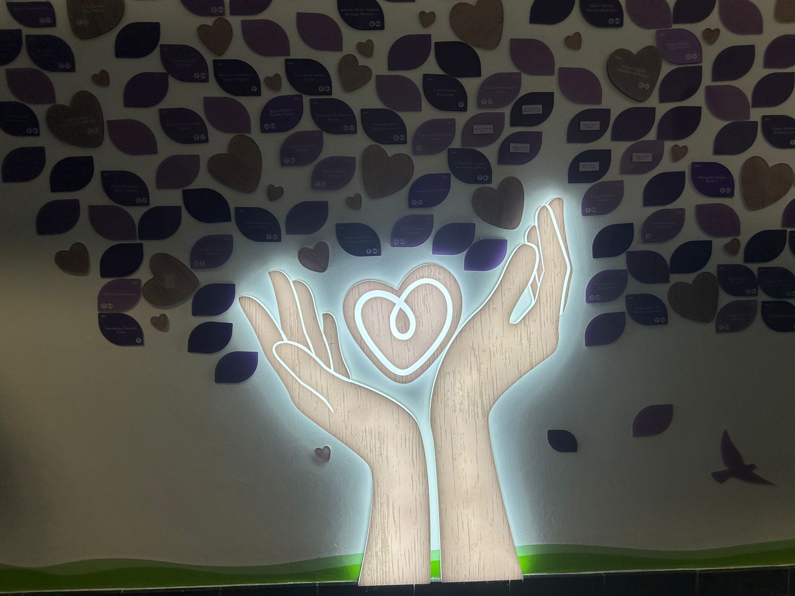 WhatsApp Image 2025-09-26 at 6.06.44 PM (1).jpeg