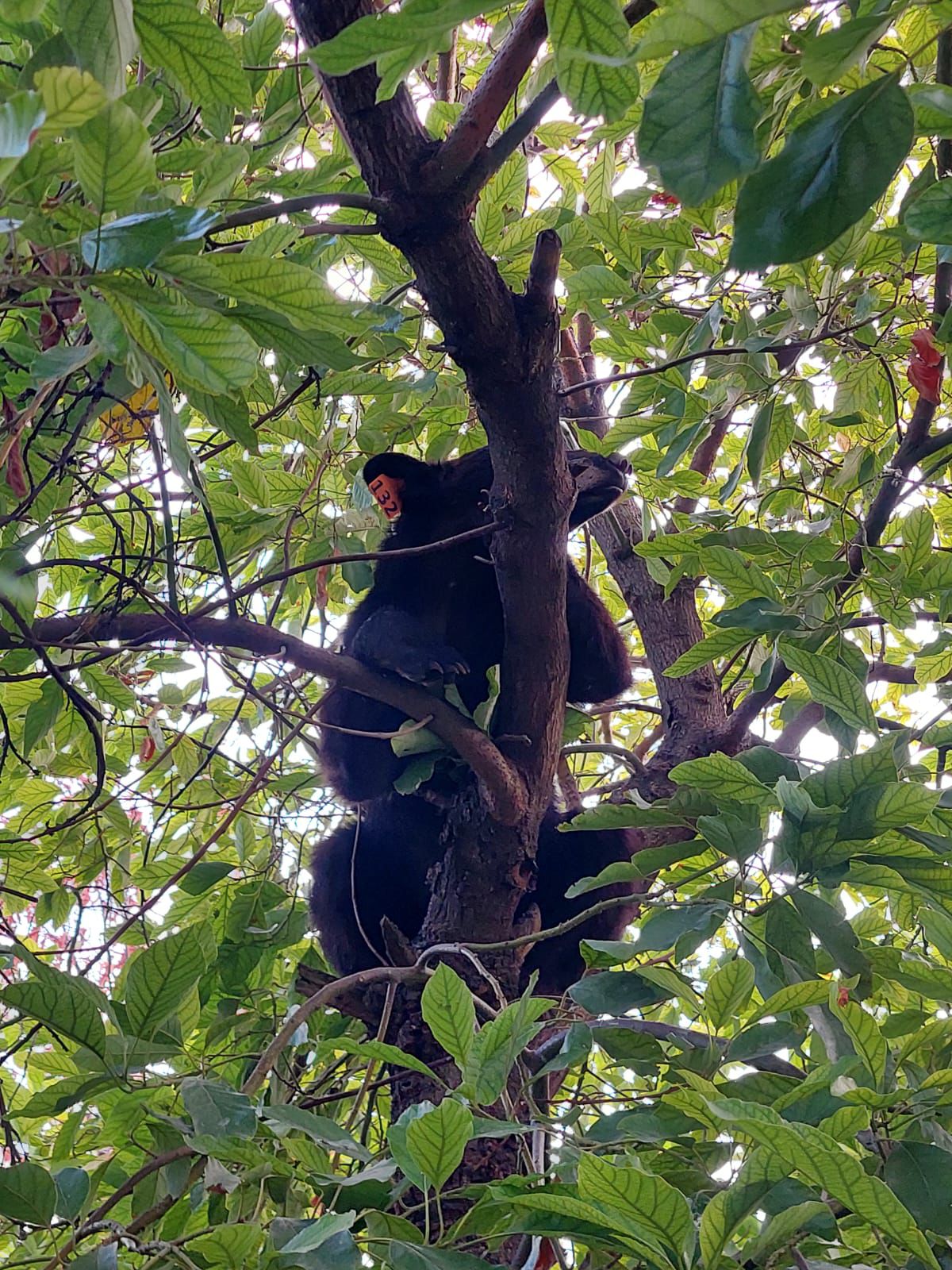 WhatsApp Image 2025-09-27 at 6.00.45 PM.jpeg