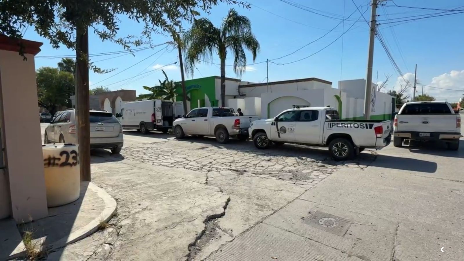 WhatsApp Image 2025-09-29 at 2.13.22 PM (1).jpeg