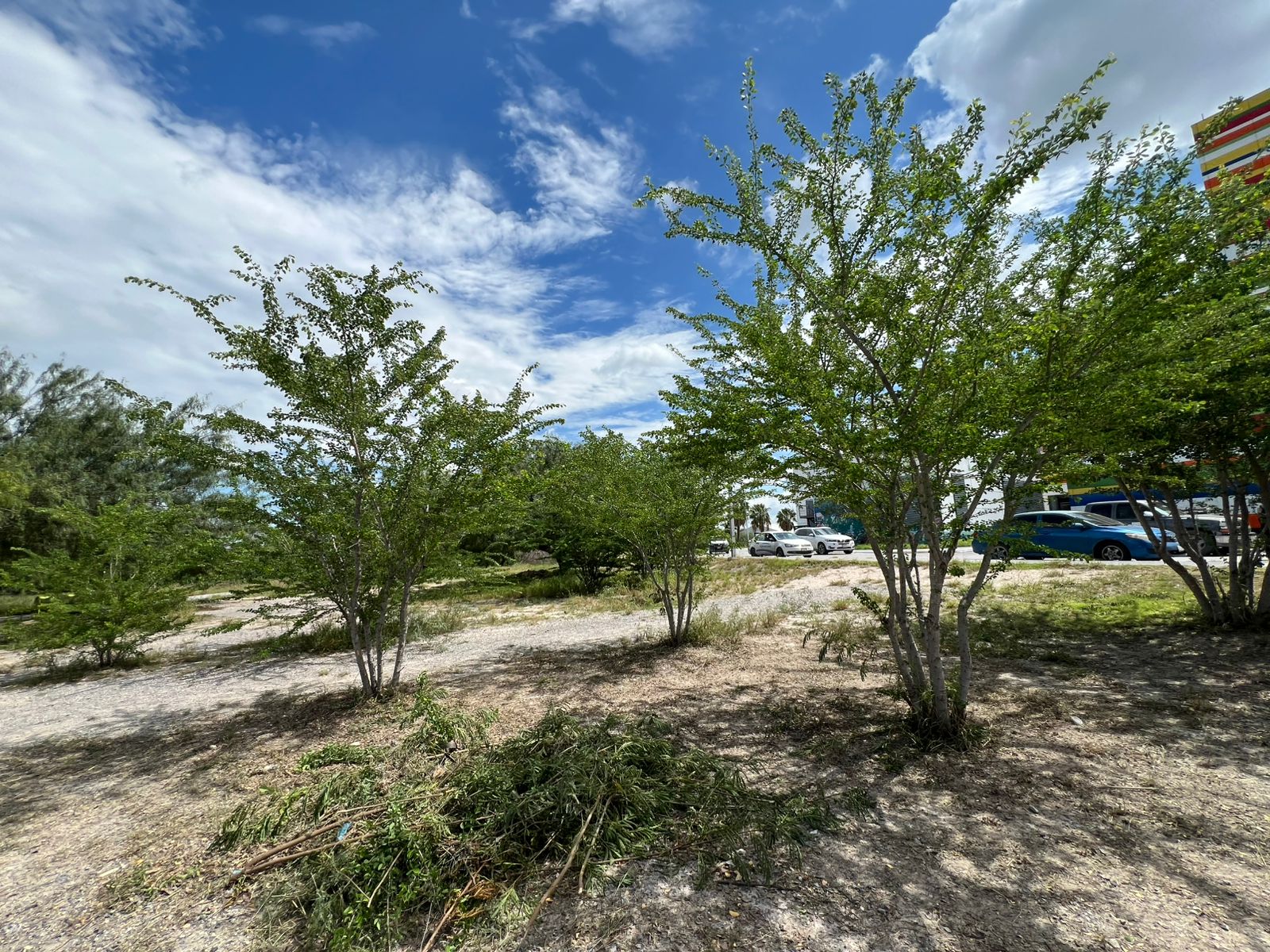 WhatsApp Image 2025-09-29 at 2.13.24 PM.jpeg