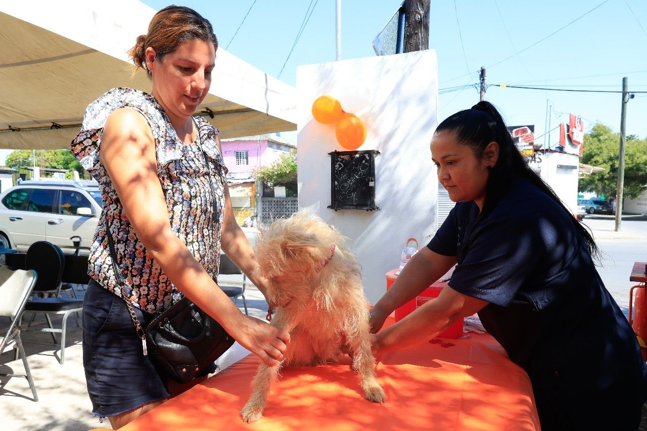 WhatsApp Image 2025-10-01 at 9.01.24 PM.jpeg