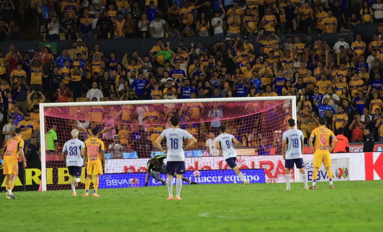 WhatsApp Image 2025-10-04 at 9.11.32 PM.jpeg