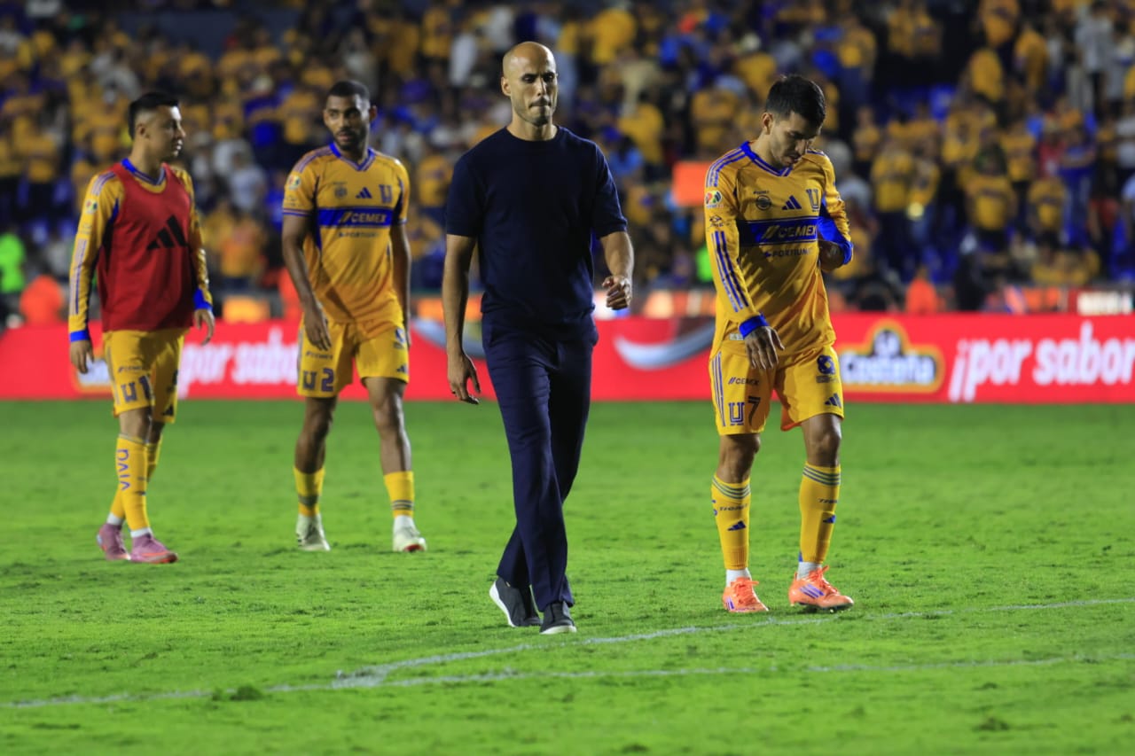 WhatsApp Image 2025-10-04 at 9.11.33 PM.jpeg