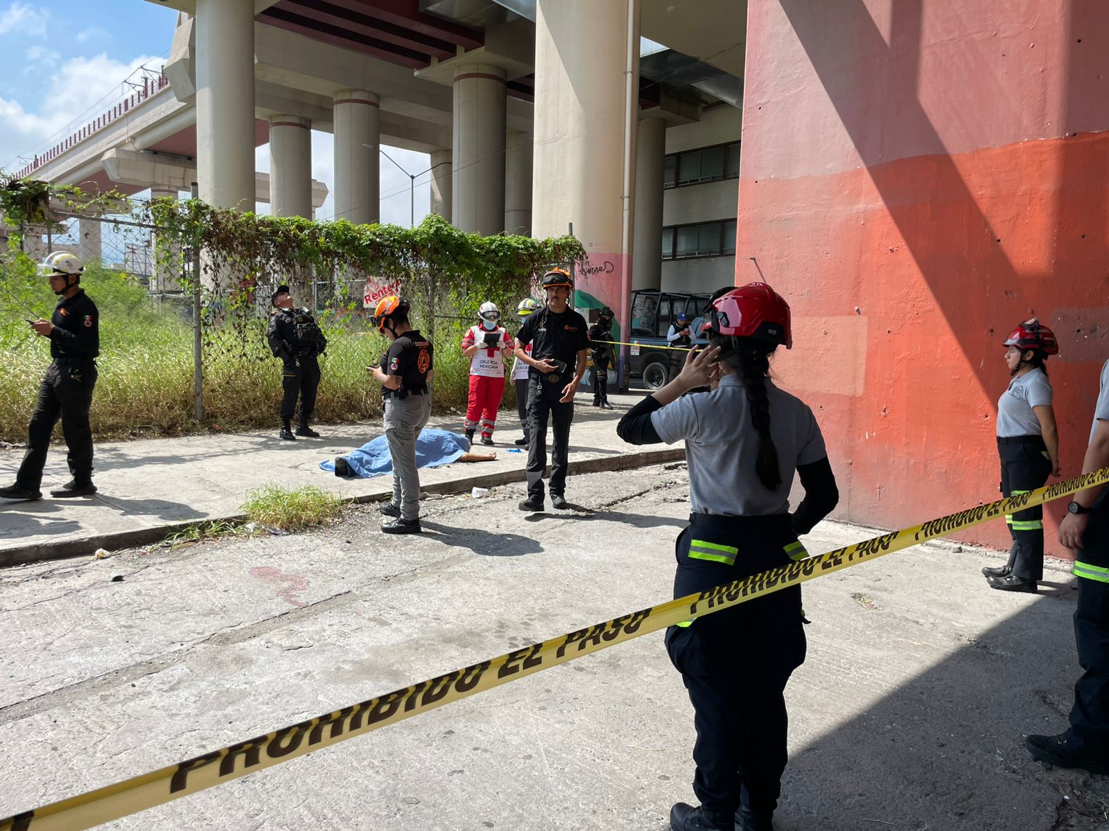 WhatsApp Image 2025-10-05 at 1.15.56 PM.jpeg