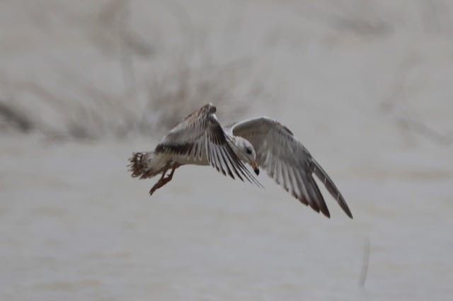 WhatsApp Image 2025-10-05 at 5.07.24 PM (1).jpeg