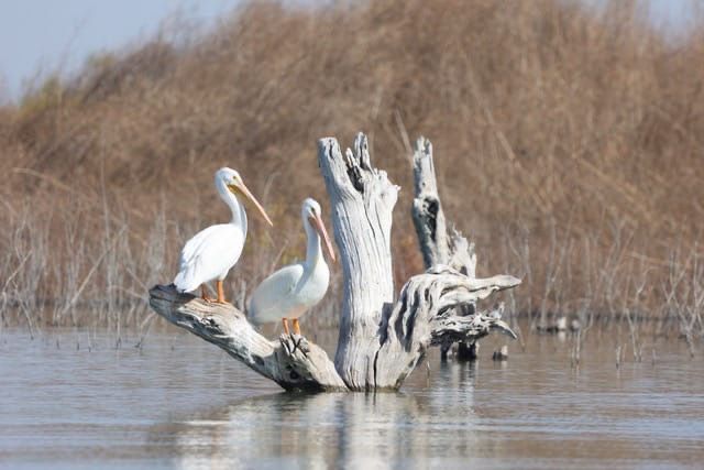 WhatsApp Image 2025-10-05 at 5.07.24 PM.jpeg