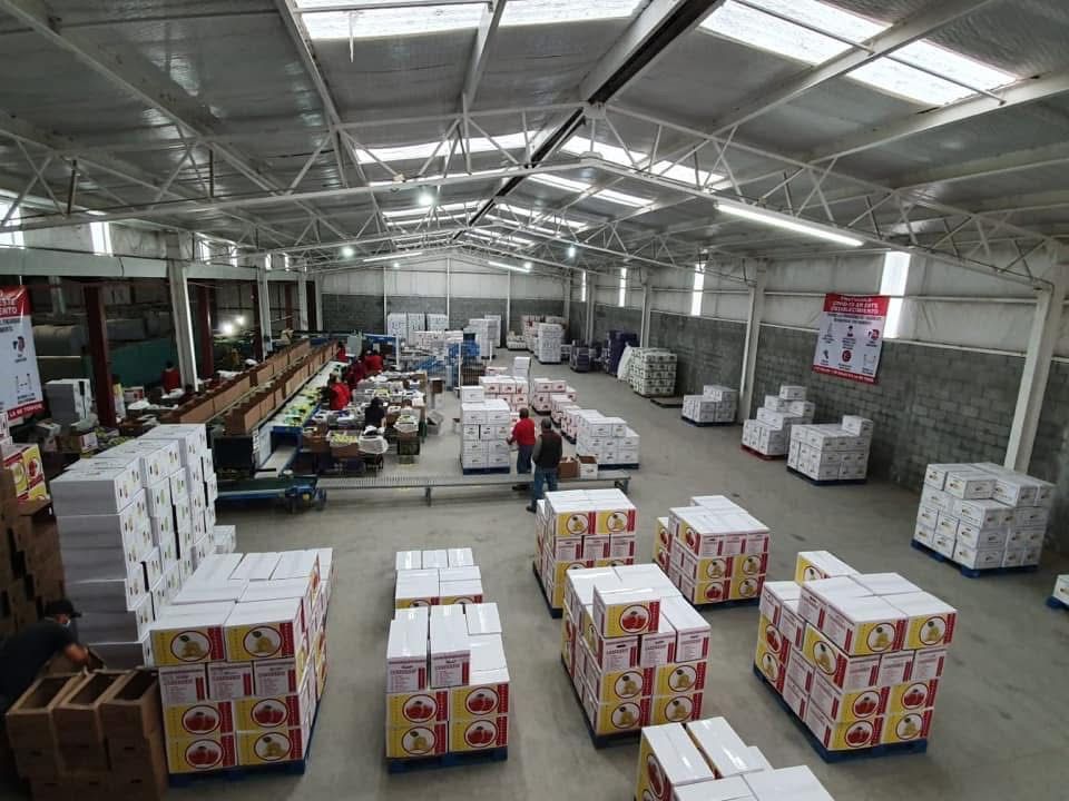 WhatsApp Image 2025-10-05 at 5.43.00 PM (2).jpeg