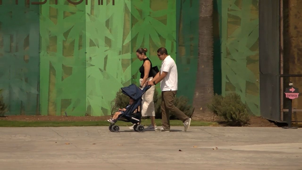 WhatsApp Image 2025-10-05 at 6.52.45 PM (1).jpeg