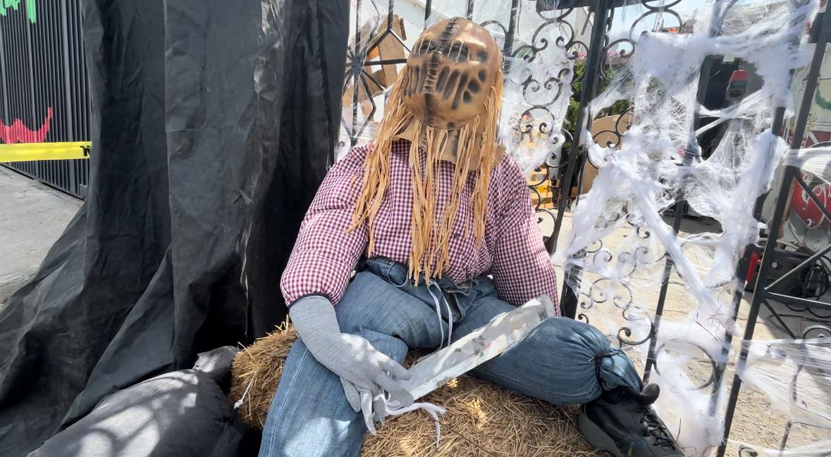 WhatsApp Image 2025-10-06 at 6.08.41 PM (1).jpeg