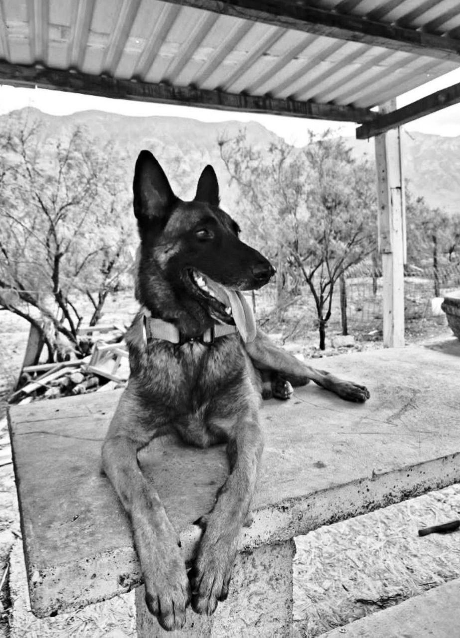 WhatsApp Image 2025-10-06 at 6.26.05 PM.jpeg