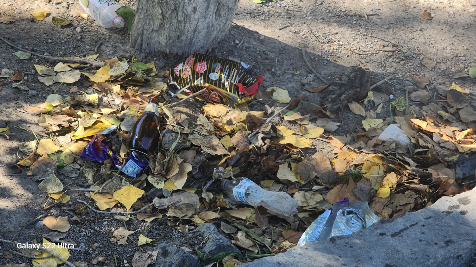 WhatsApp Image 2025-10-06 at 6.32.08 PM.jpeg