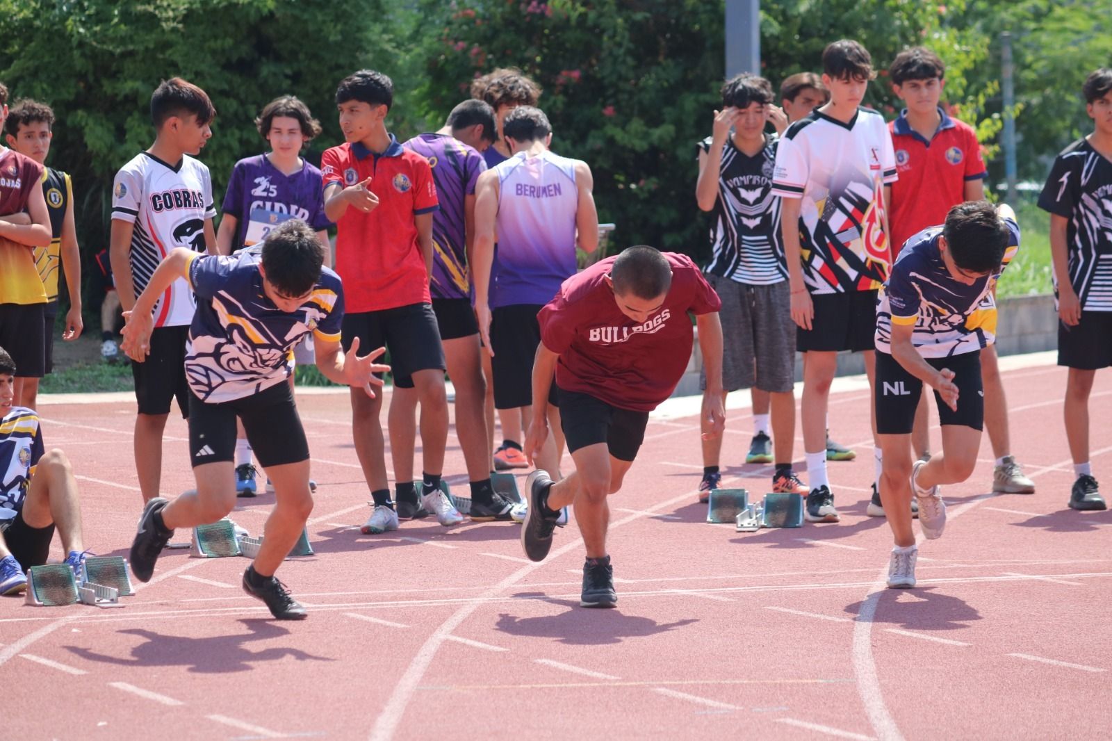 WhatsApp Image 2025-10-07 at 1.13.21 AM.jpeg